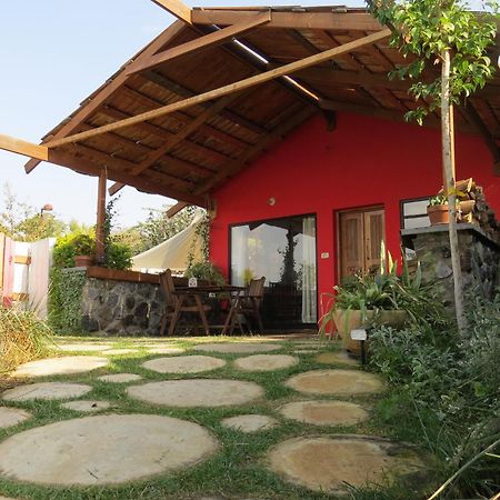 The Green And Red Cabins معاليه غمله المظهر الخارجي الصورة